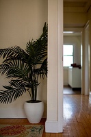 729 Jenifer Street - Unit #2