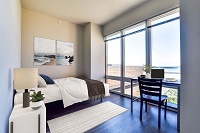 The Waterfront Apartments