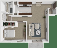 The Buckingham Large