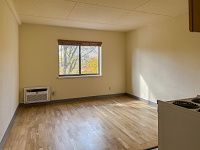 Metropolitan Apartments - Studio