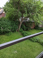 911 E. Johnson Street