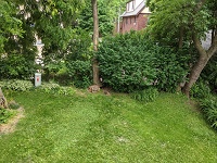 911 E. Johnson Street