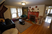 348 W. Wilson Street - 1 Bedroom Apartment #3