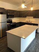 Kestrel - Kitchen