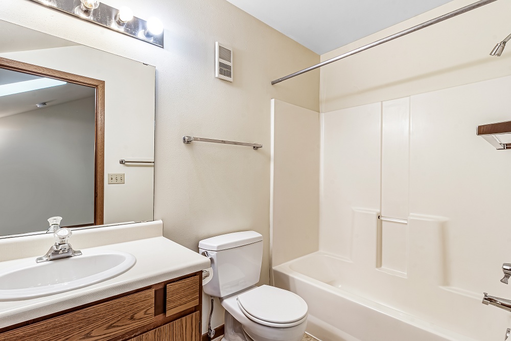 1 BR Loft / 1 Bath