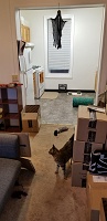 423 W. Doty Street - 2 BR - Apt 1