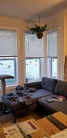423 W. Doty Street - 2 BR - Apt 1