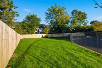 Trader's Way - Dog Park