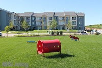 Grand Arbor Reserve - Outdoor Dog Park and Agility Course