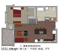 1 Bedroom / 1 Bath