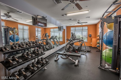 Fitness Center with Club Grade Equipment
