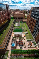 Lucky - Fourth Floor Rooftop Garden Terrace