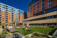 Lucky - Grand Lawn with Yard Games