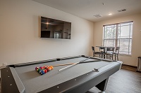 The Masters Residences At The Community Of Bishops Bay - Billiards in Clubroom 