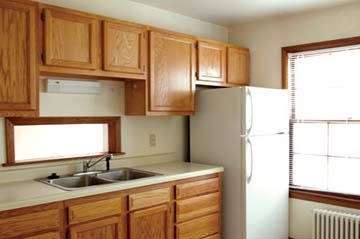 Kitchens with Plenty of Cabinet Space