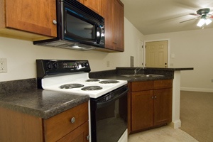 1 Bedroom (Unit 1)