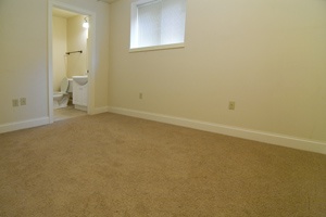 1 Bedroom (Unit 1)