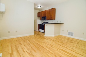 1 Bedroom (Unit 101)