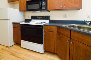 1 Bedroom (Unit 101)