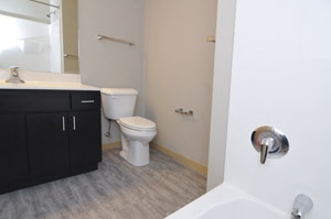 1 Bedroom + Den