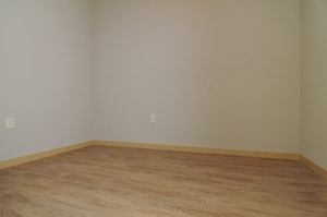 1 Bedroom + Den