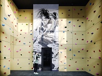 The Standard Madison - Rock Climbing Wall
