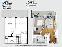 Apt 218