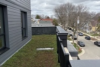252 Dunning - Green Roof