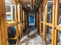 Cardinal Apartments - Storage