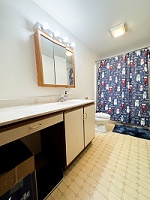 432 W. Wilson Street - 2 Bedroom + Balcony - Apartment #4